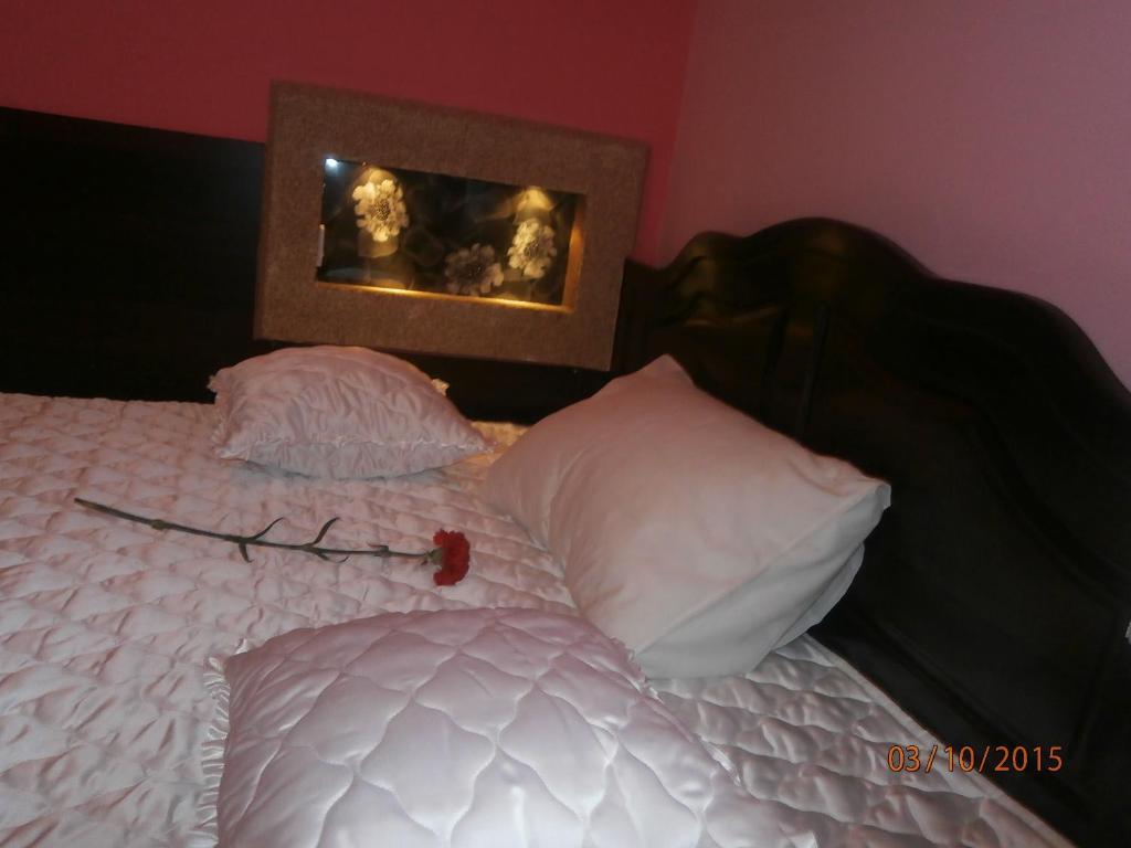 לסקובץ Hotel Vila Mitic Luxx Spa Centar מראה חיצוני תמונה